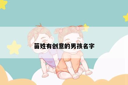 苗姓有创意的男孩名字